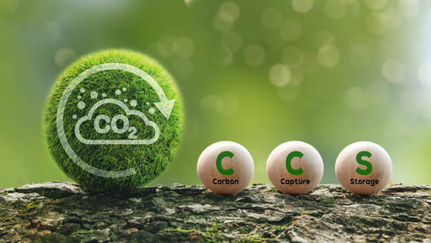 Carbon Neutrality