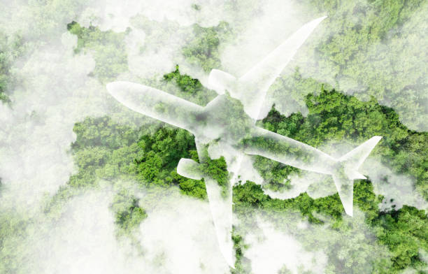 Renewable Energy